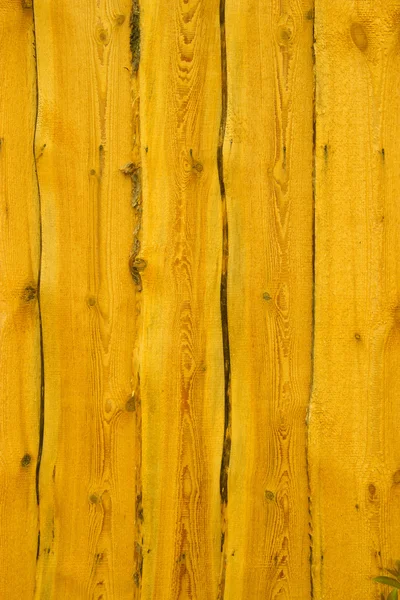 Sfondo in legno con motivi naturali — Foto Stock