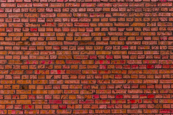 Brick wall background — Stock Photo, Image