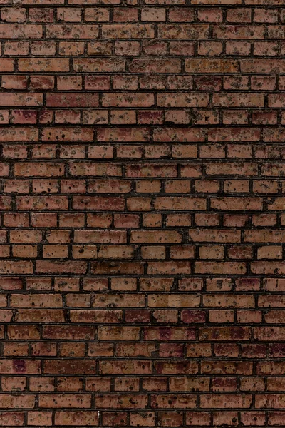 Multi colored brickwork background — Stock Photo, Image