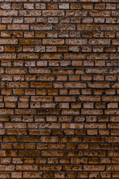 Multi colored brickwork background — Stock Photo, Image