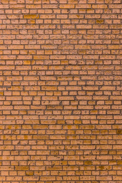 Multi colored brickwork background — Stock Photo, Image