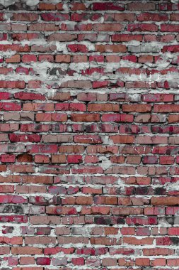 doku ve arka plan (tuğla duvar)