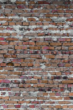 doku ve arka plan (tuğla duvar)