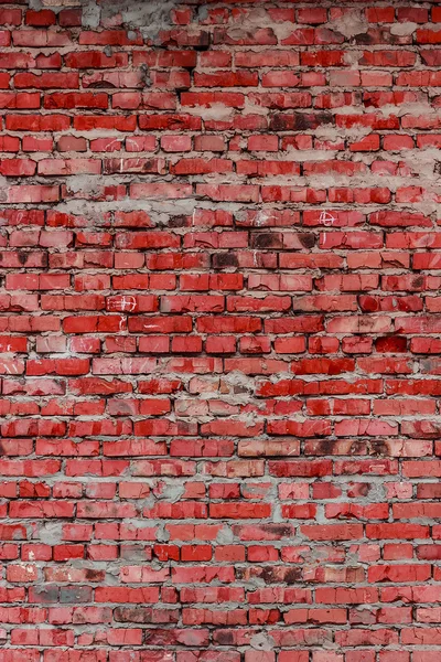 Brick wall (background and texture) — Stock Photo, Image