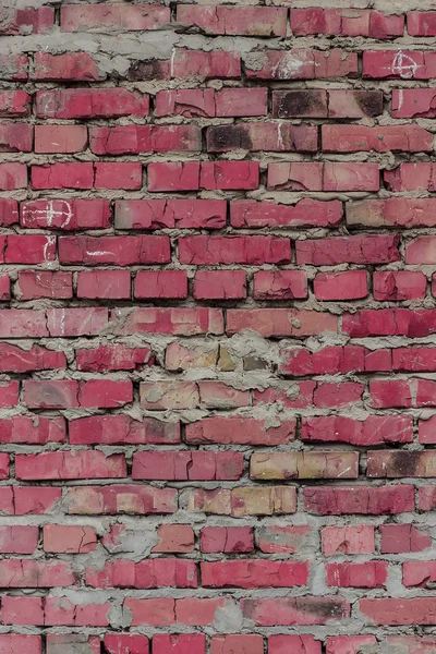 Brick wall (background and texture) — Stock Photo, Image