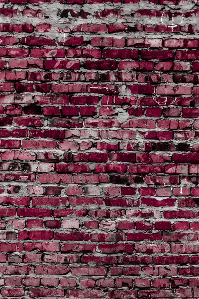 Texture and background (brick wall) — Stock Photo, Image