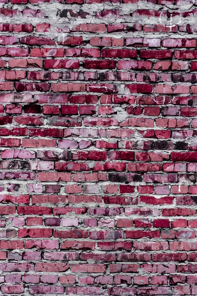 Texture and background (brick wall) — Stock Photo, Image