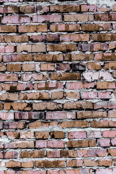 Parede de tijolo (fundo e textura ) — Fotografia de Stock