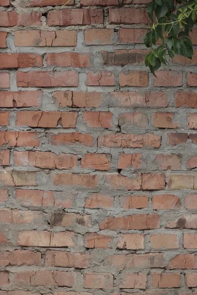 Konsistens och bakgrund (tegelvägg) — Stockfoto