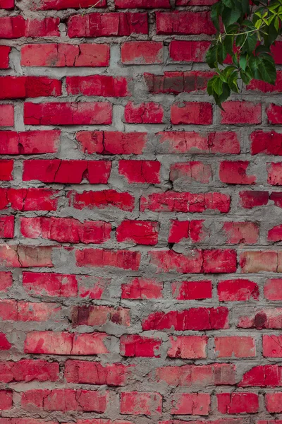 Textuur en achtergrond (bakstenen muur) — Stockfoto