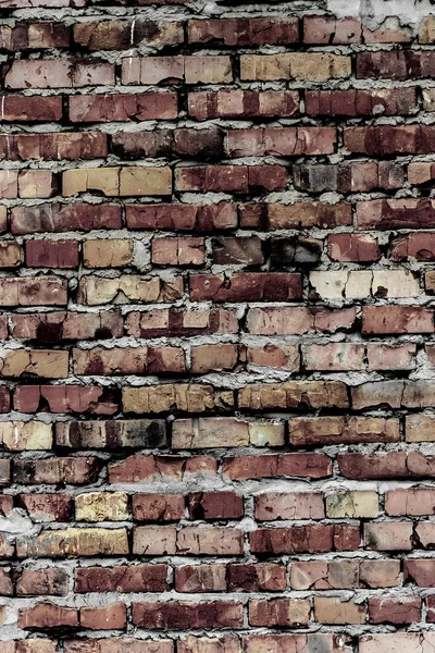 Brick wall (background and texture) — Stock Photo, Image