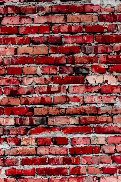 Brick wall (background and texture) — Stock Photo, Image