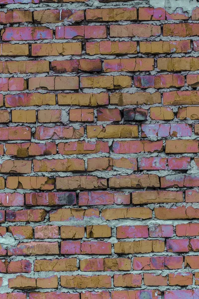 レンガの壁 (背景とテクスチャ) — ストック写真