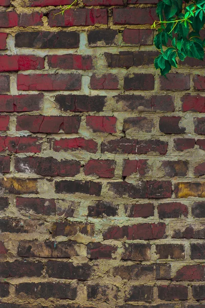 テクスチャと背景 （レンガの壁) — ストック写真