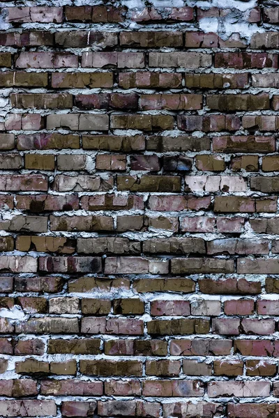 Parede de tijolo (fundo e textura ) — Fotografia de Stock