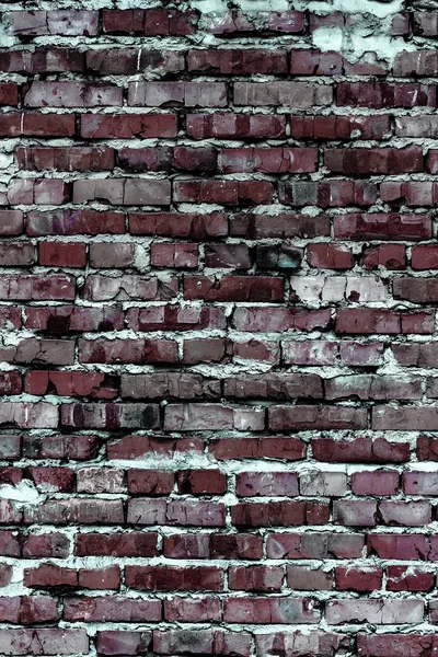 レンガの壁 (背景とテクスチャ) — ストック写真
