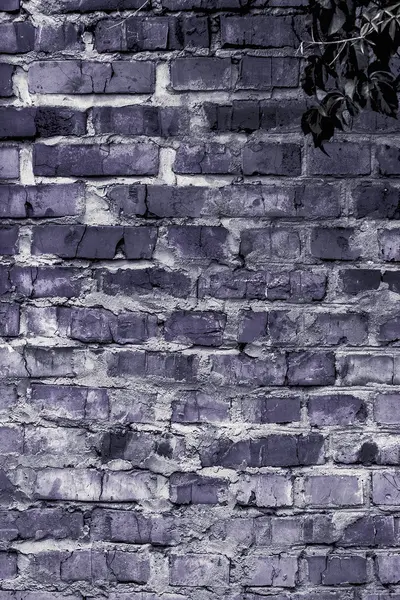 Texture e sfondo (muro di mattoni ) — Foto Stock