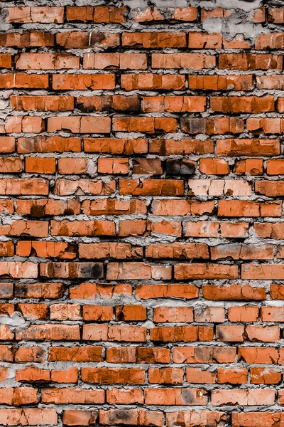 Parede de tijolo (fundo e textura ) — Fotografia de Stock