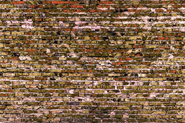 Brickwork (background and texture) — Stock Photo, Image