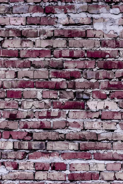 Parede de tijolo (fundo e textura ) — Fotografia de Stock