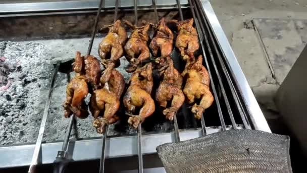 Pollo Asado Sobre Saliva Parrilla Sobre Las Brasas Brillantes Madera — Vídeo de stock