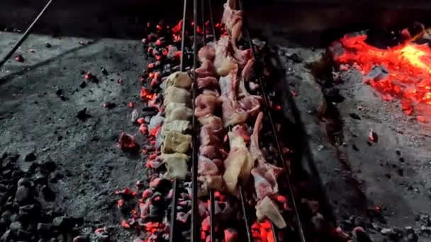 Herstellung Von Hammelfleisch Tikka Auf Heißen Brennenden Spule Feuer Hochauflösender — Stockvideo