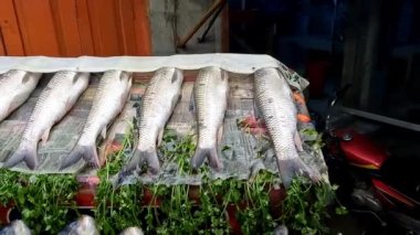 Masa 4k yüksek çözünürlüklü videoda balık dükkanı ya da tezgahı farklı nehir balıkları