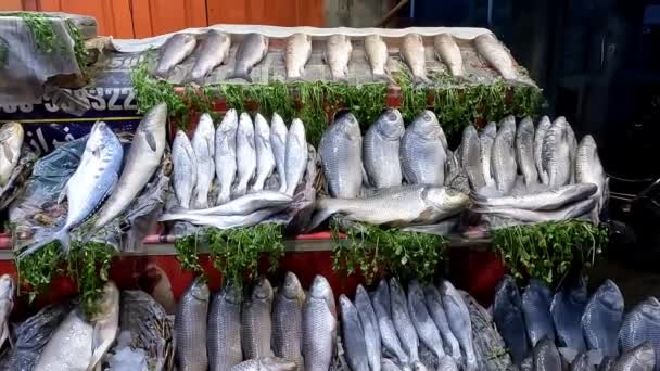 Viswinkel Kraam Verschillende Riviervissen Tafel Hoge Resolutie Video — Stockvideo