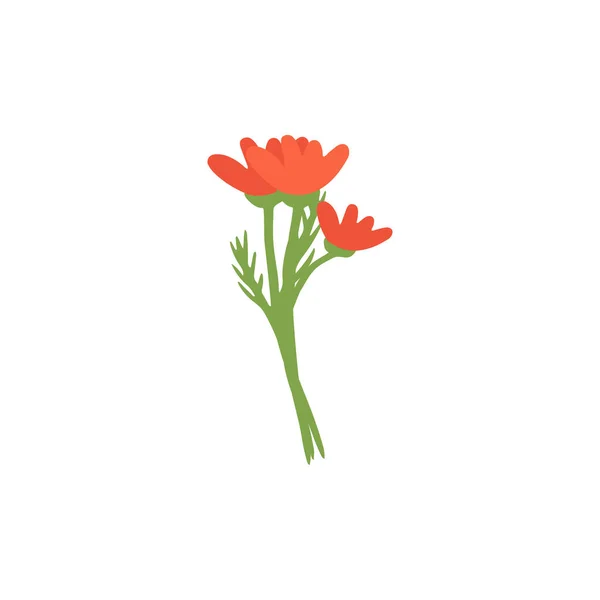 Kézzel Rajzolt Lapos Dekoratív Virágok Vektor Növények Elemek Design Web — Stock Vector