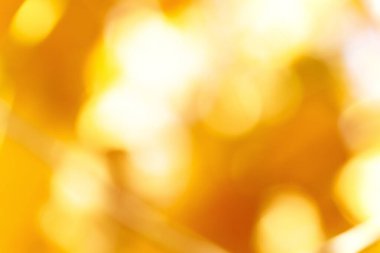 Bulanık doğal arka plan ve güneş ışınları. Sarı turuncu aksanlı bulanık arkaplan. Bokeh ve güneş patlaması.