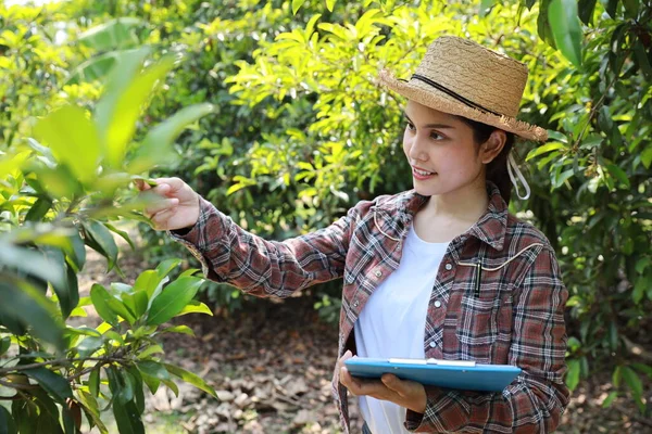 Asian agronomist or woman farmer reading report and inspecting growing crops data from clipboard for increasing productivity in agriculture field, modern smart farming with technology concept