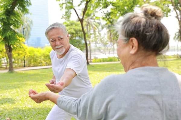 Azjatycka Para Seniorów Ćwiczyć Jogę Ćwiczenia Tai Chi Tranining Rozciąganie — Zdjęcie stockowe