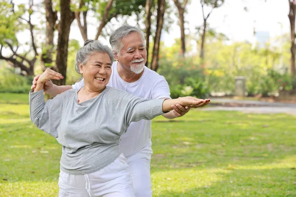 Azjatycka Para Seniorów Ćwiczyć Jogę Ćwiczenia Tai Chi Tranining Rozciąganie — Zdjęcie stockowe