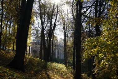 Moskova Rusya - Ekim 2021: Tsaritsino Tarihi Park Müzesi 'nin muhteşem manzarası. Güneş ışınları ağaçların taçlarından geçer. Ormanın derinliklerindeki antik saraya odaklan..