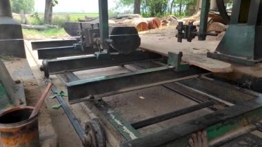 Ağaç kesme işinin devam ettiği kereste fabrikasındaki orman tahribatının video görüntüleri. Doğaya karşı suç.