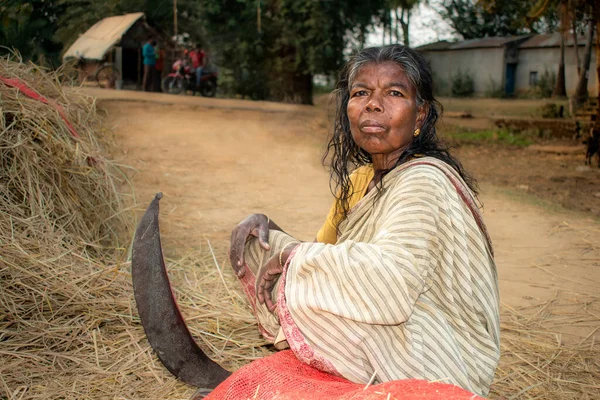 一位来自印第安部落的贫穷老年妇女正在用锯子割草 看着镜头 — 图库照片