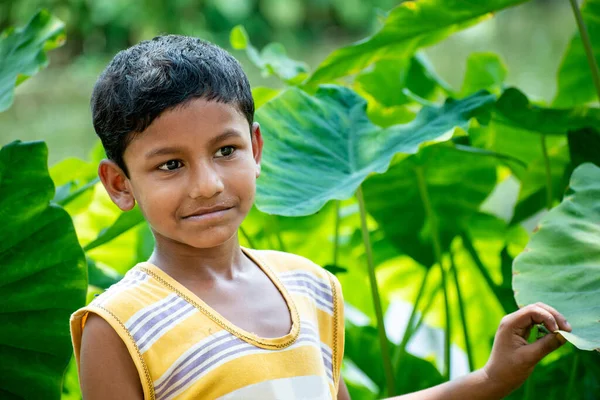 Retrato Uma Bela Criança Serena Indiana Fundo Uma Floresta Verde — Fotografia de Stock