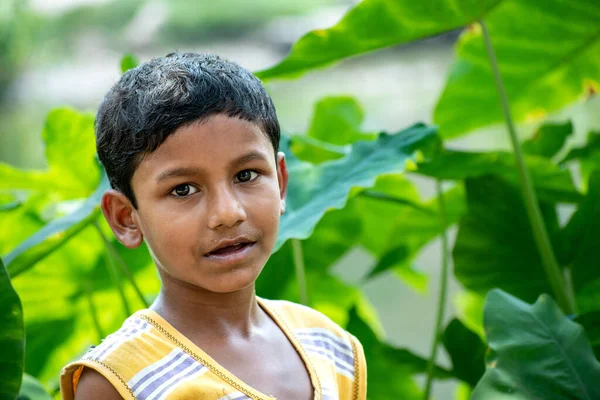 Retrato Uma Bela Criança Serena Indiana Fundo Uma Floresta Verde — Fotografia de Stock