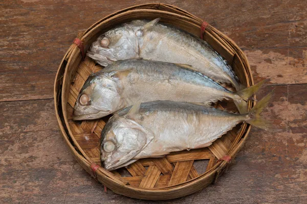 Pescado de caballa —  Fotos de Stock