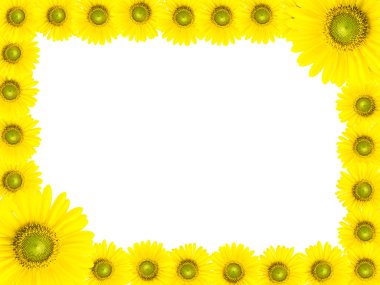 Ayçiçeği çerçeve