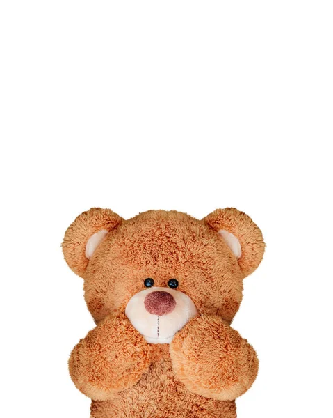 Urso Pelúcia Bonito Isolado Fundo Branco — Fotografia de Stock