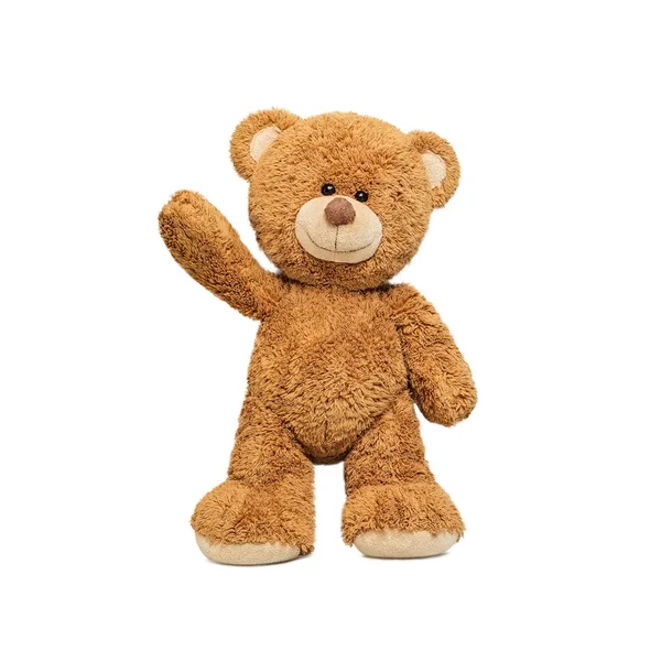 Netter Teddybär Isoliert Auf Weißem Hintergrund Stockbild