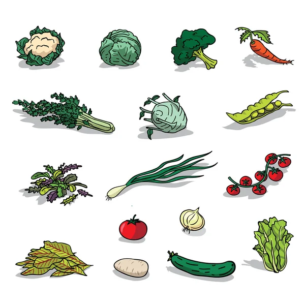 Légumes biologiques — Image vectorielle