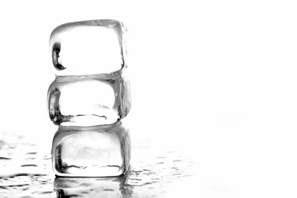 Cubes de glace — Photo