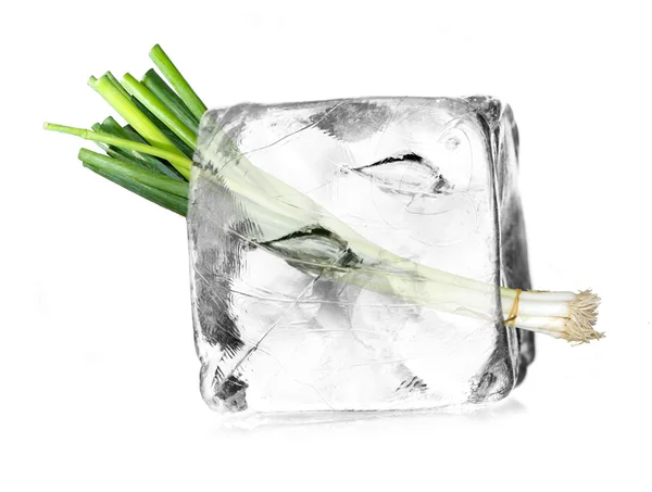 Alho-porro em cubo de gelo — Fotografia de Stock