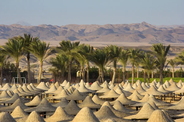 Deserto no Egito em Marsa Alam — Fotografia de Stock