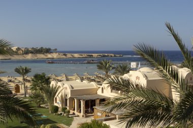 Mısır marsa alam