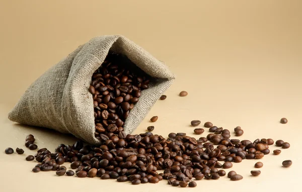 Coffee beans spilled out of the bag — Stock Photo, Image