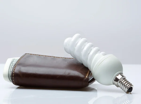 Geldbörse mit Geld und Lampe — Stockfoto