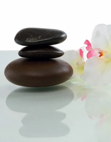 Set of stones and flower — Stock Photo, Image